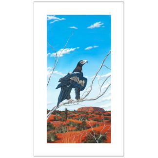 Eagle Story