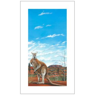 Kangaroo Story