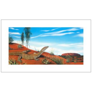 Perentie Story